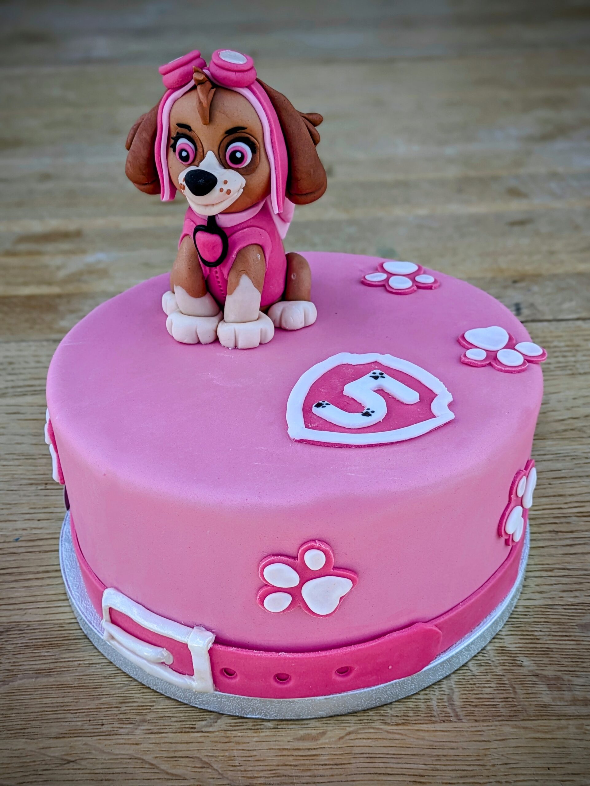 Sky von Paw Patrol – Turtä